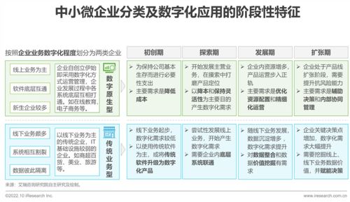 2022年中国中小微企业数字化转型路径研究报告